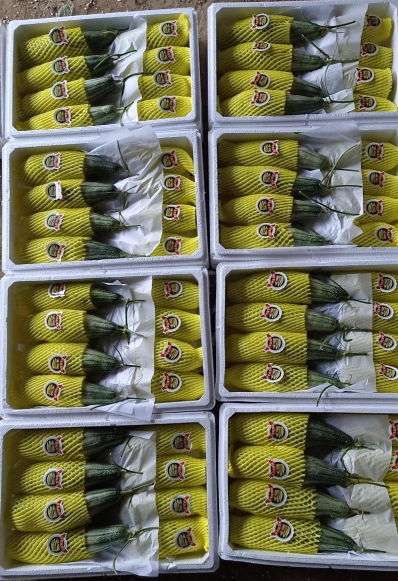 甜瓜精品羊角蜜甜瓜大落价，瓜甜条正，按需装箱