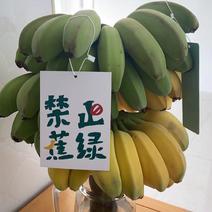 【禁止蕉绿】水培香蕉苹果蕉支持一件