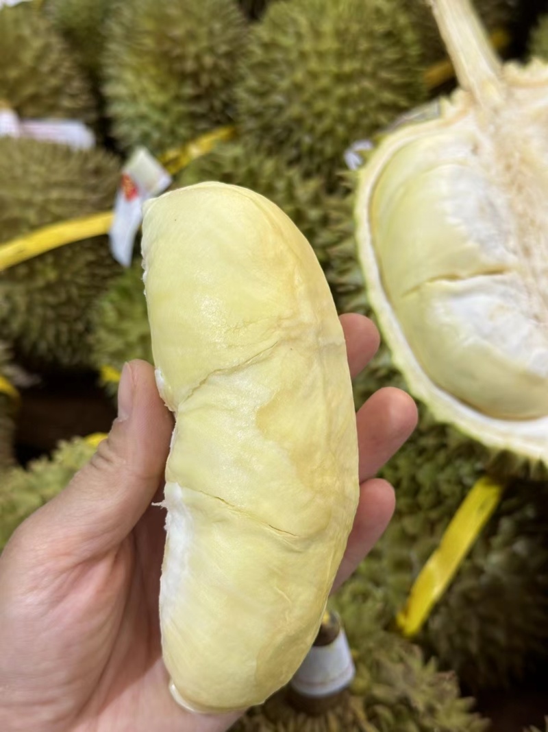 泰国金枕头榴莲巴掌榴莲A果B果c果大量有货，支持一件代发批发