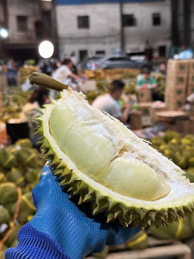 泰国金枕头榴莲巴掌榴莲A果B果c果大量有货，支持一件代发批发