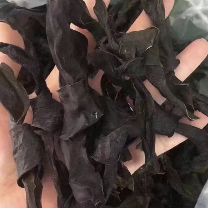 海带结烘干海带结免洗海带结水洗烘干海带结压缩海带结