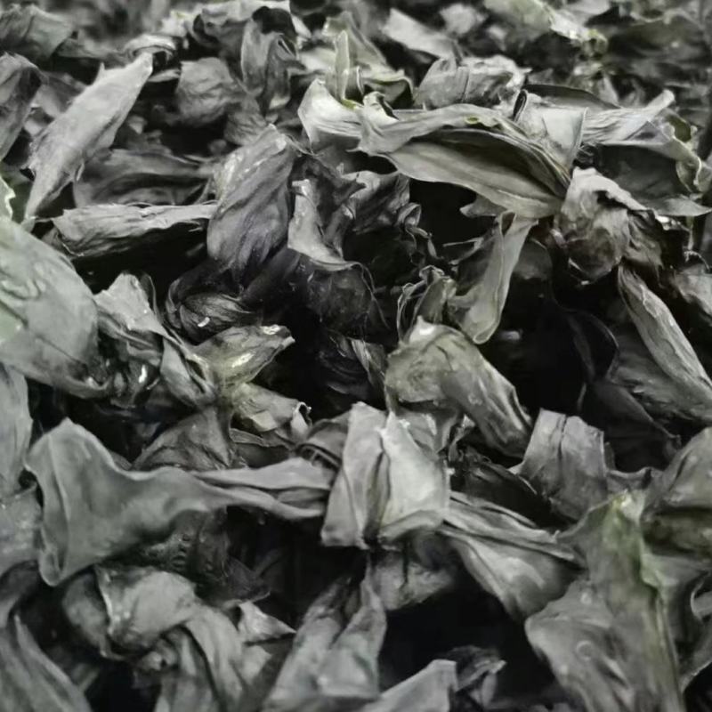 海带结烘干海带结免洗海带结水洗烘干海带结压缩海带结