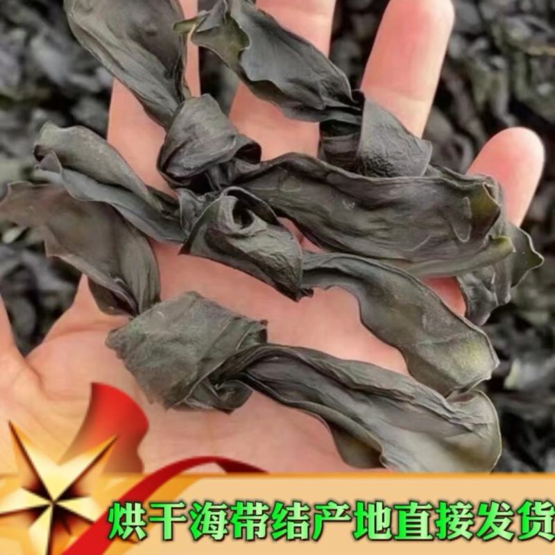 海带结烘干海带结免洗海带结水洗烘干海带结压缩海带结