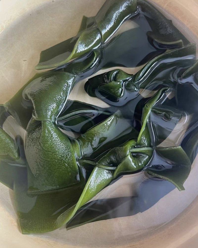 海带结烘干海带结免洗海带结水洗烘干海带结压缩海带结