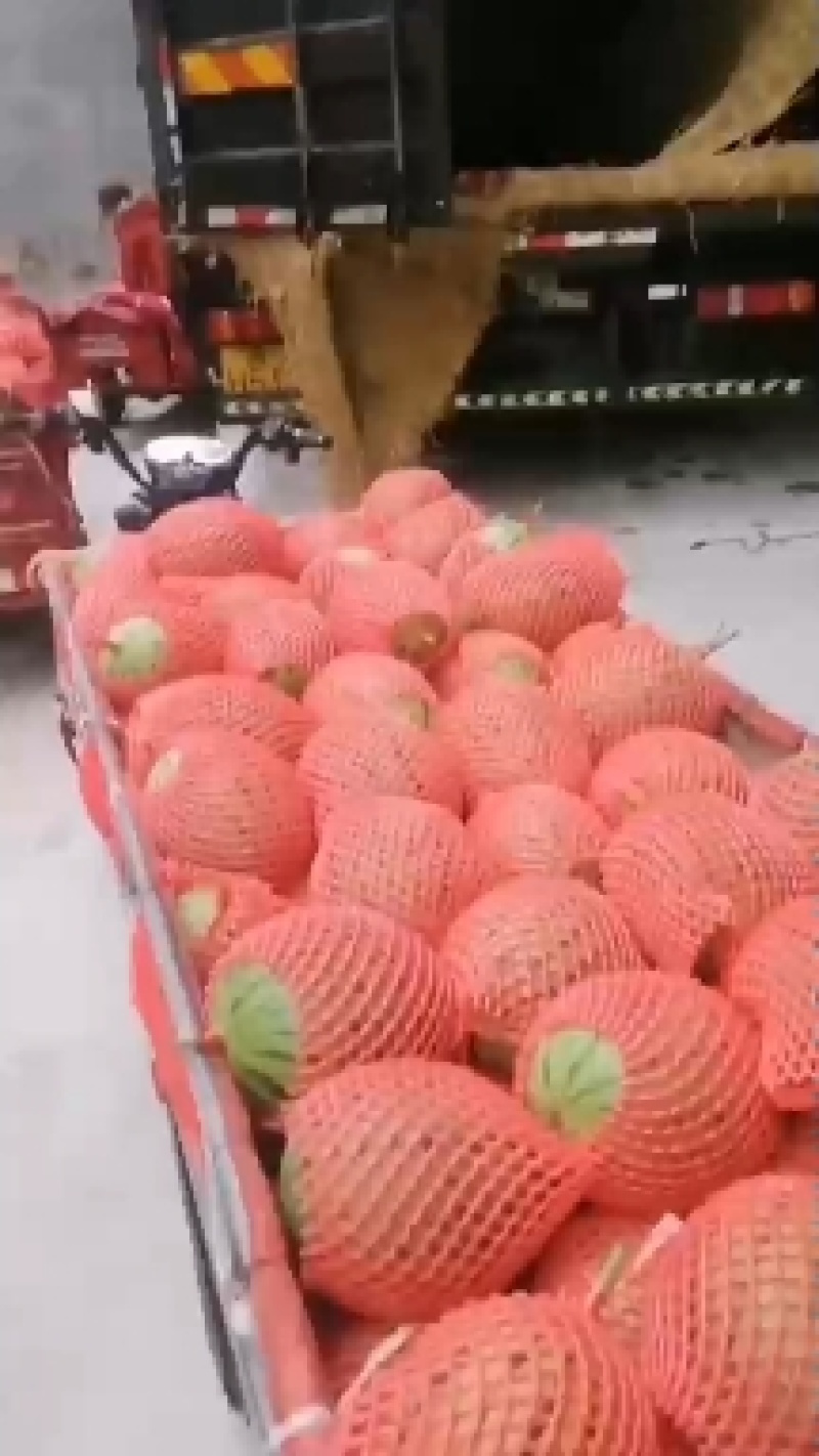 手削皮，瓤红皮薄，糖度高产地直发，品种齐全，保质保量货