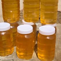 蜂蜜大量供应槐花蜂蜜。量大从优，保质保量对接全国市场。