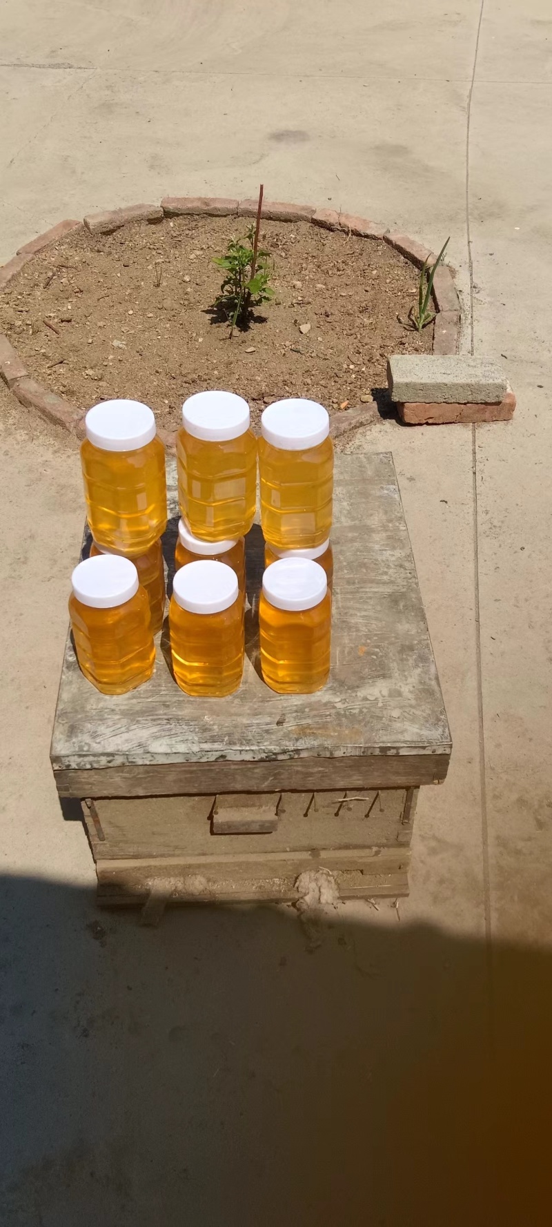 蜂蜜大量供应槐花蜂蜜。量大从优，保质保量对接全国市场。