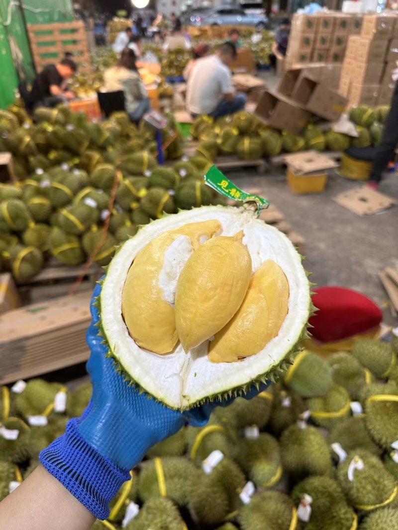 泰国金枕头榴莲托曼尼榴莲巴掌榴莲猫山王榴莲一件代发
