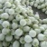 【推荐】冰清玉菇甜瓜大量上市中实力代办可视频看货全国发货