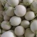 【推荐】冰清玉菇甜瓜大量上市中实力代办可视频看货全国发货