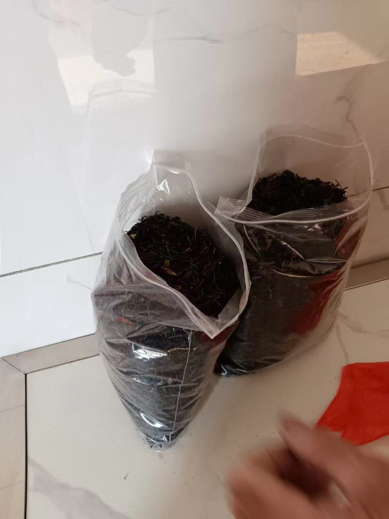 原生态苦丁茶