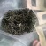 原生态茶