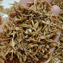 素馨花干货冷背中药材量大优惠