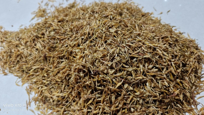 素馨花干货冷背中药材量大优惠