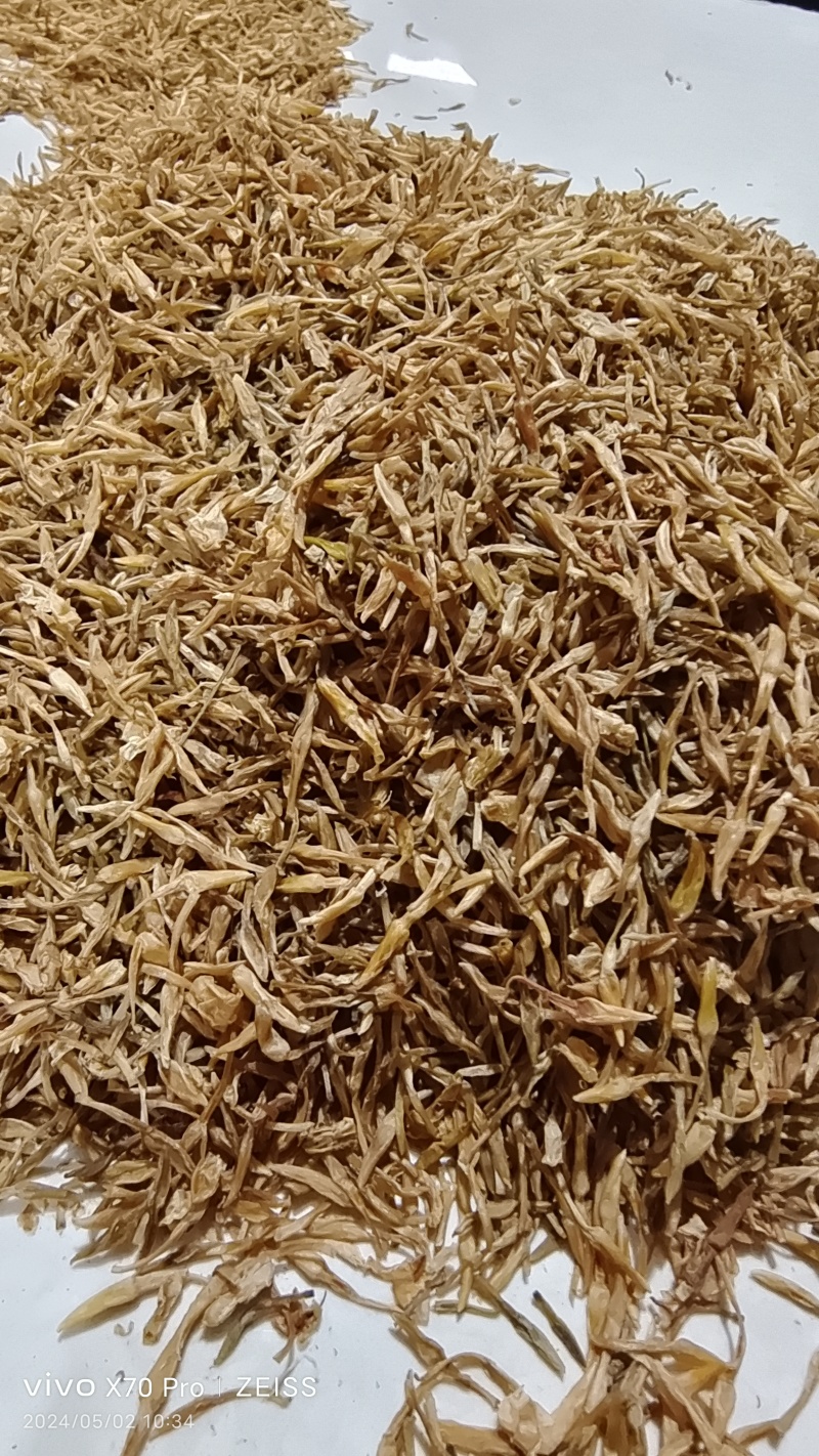 素馨花干货冷背中药材量大优惠