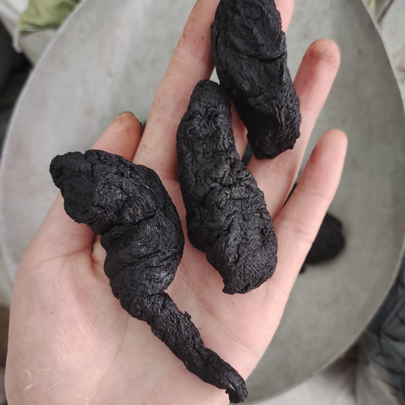 熟地个子，无硫保质保量，批发各种中药材欢迎订购，贤帅药材