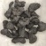 熟地个子，无硫保质保量，批发各种中药材欢迎订购，贤帅药材