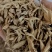 麦冬，川麦冬，野生地麦冬！无硫工艺，产地批发包邮