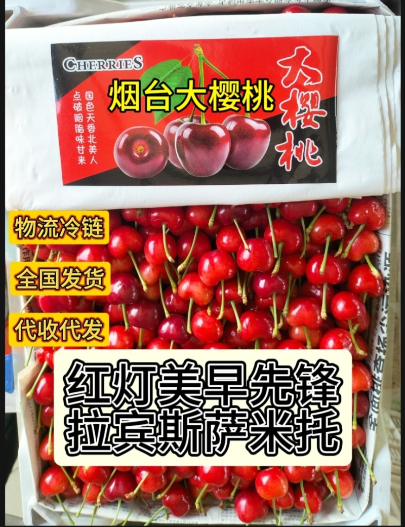 烟台露天大樱桃美早先锋水晶萨米特斯特勒产地直发