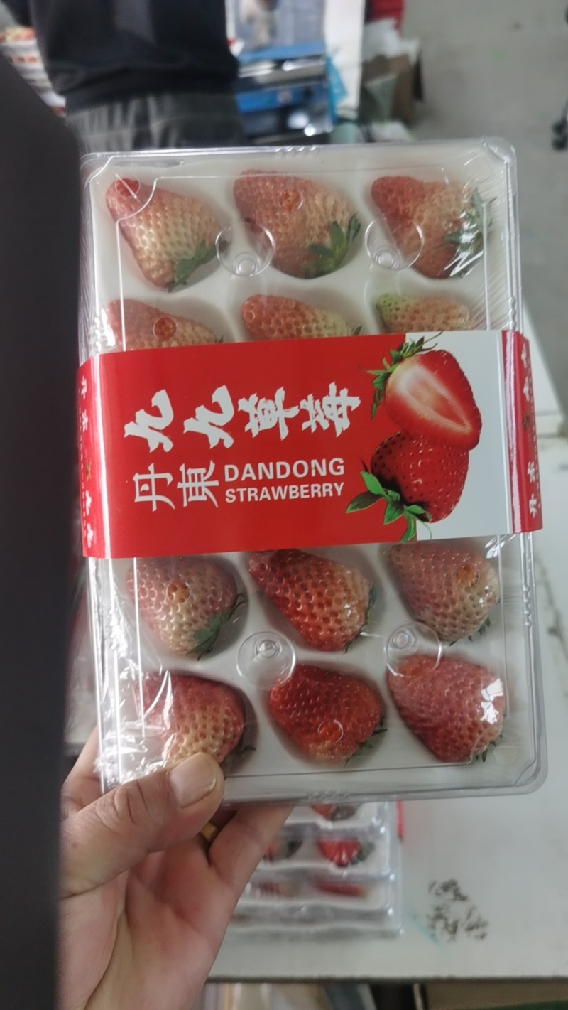 红颜草莓，产地直发，货源稳定全国无死角代收代卖