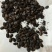 九香虫小九香虫大九香虫实拍九香虫现货