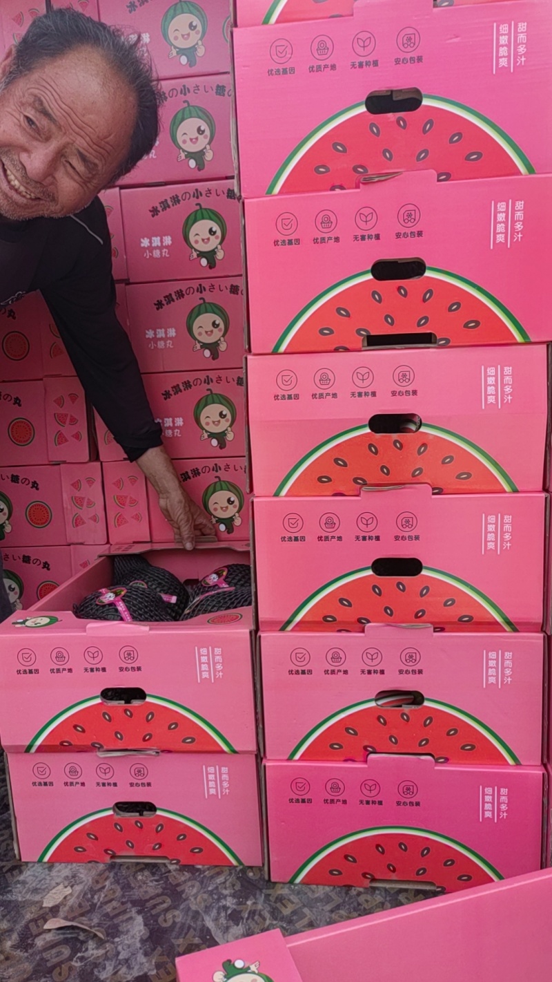陕西龙阳吊蓝西瓜大量供应