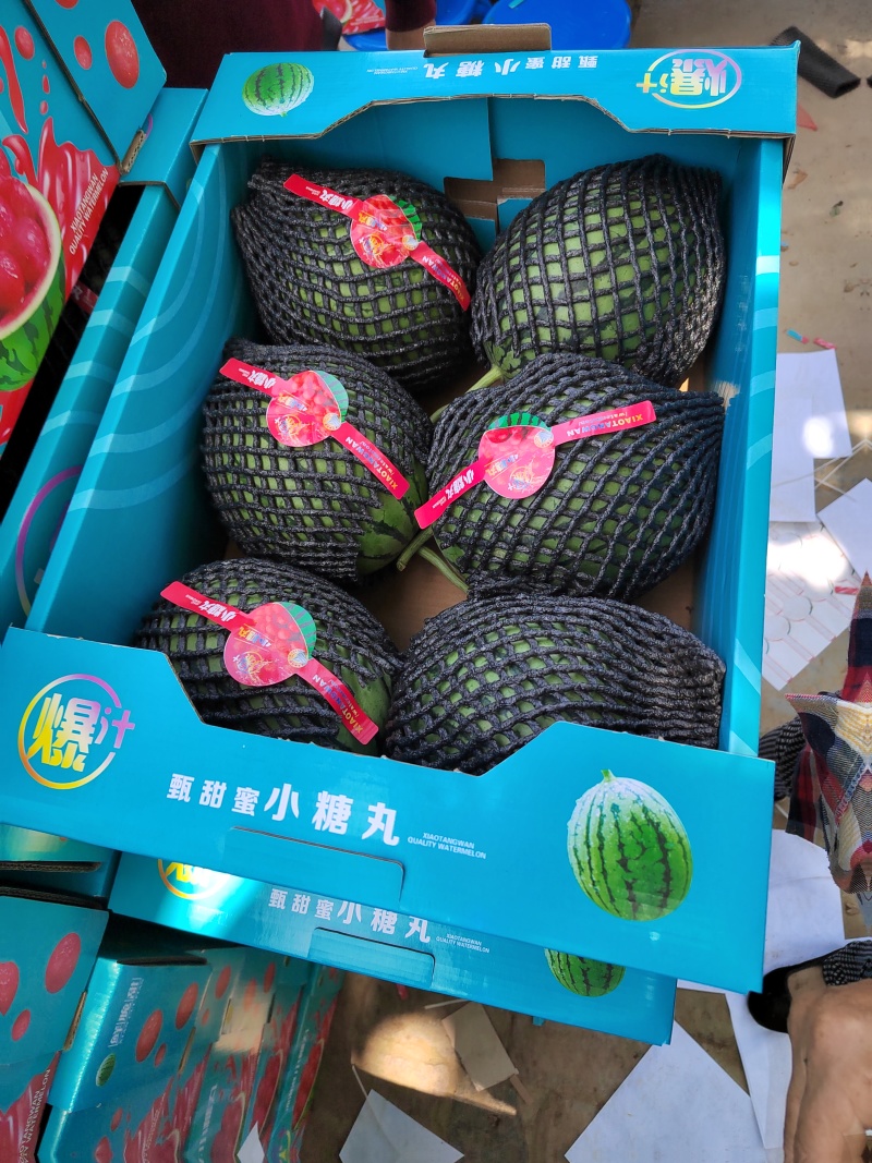 吊篮西瓜