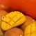 海南玉文芒~皮薄肉厚，核薄无丝，果皮成熟黄中带红，圆润
