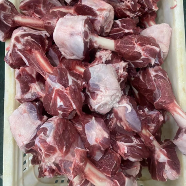 加肉棒骨。满肉满肉。满骨髓需要的老板来