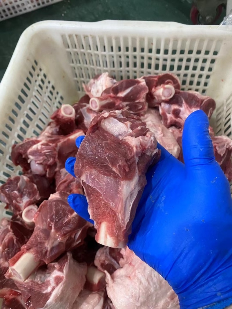 加肉棒骨。满肉满肉。满骨髓需要的老板来
