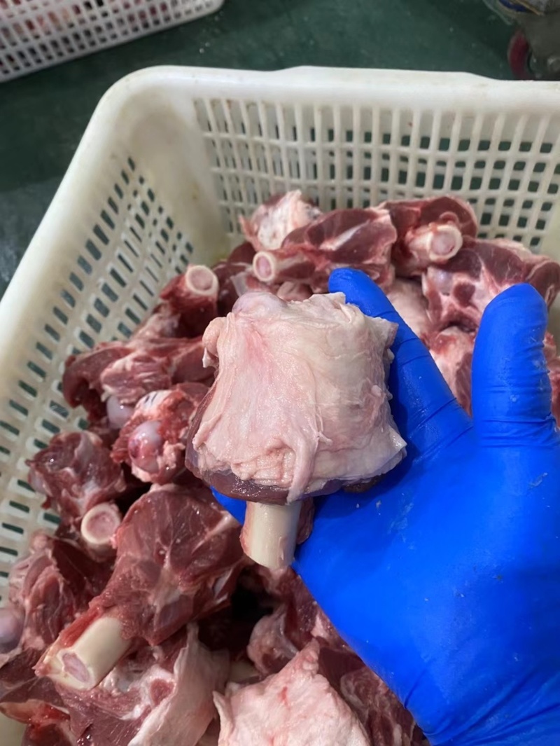 加肉棒骨。满肉满肉。满骨髓需要的老板来