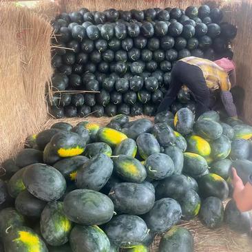 广西产精品西瓜：黑美人，甜王，4K,绿赏等品种西瓜出售.