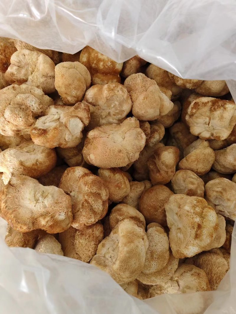 干猴头菇蘑菇东北食用菌干货有机猴头菇绿色双认证