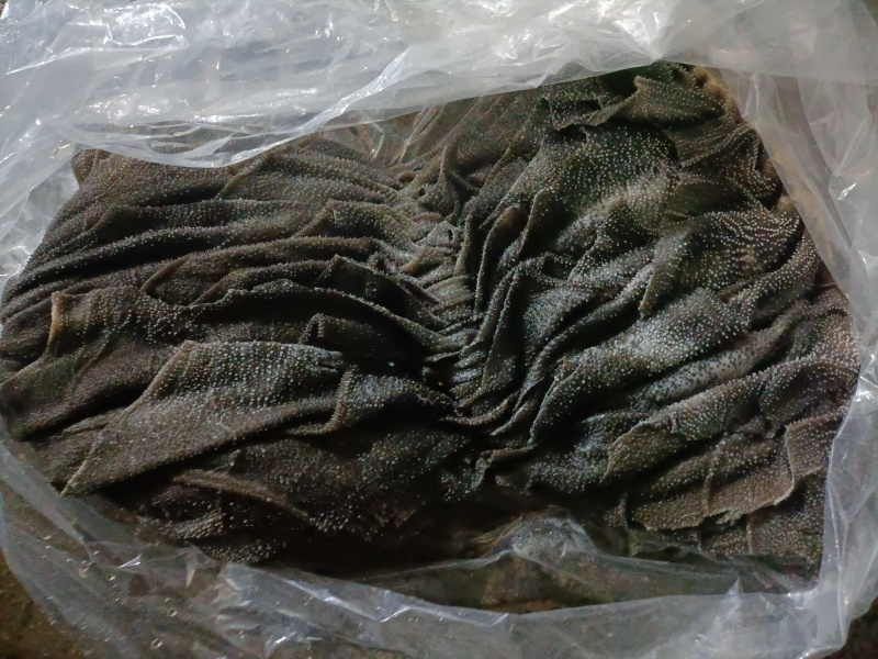 牛百叶，水洗干净，底板去油干净，叶片大，纯干货，可发鲜货