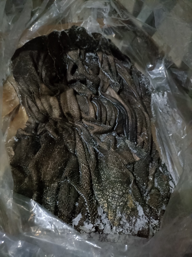 牛百叶，水洗干净，底板去油干净，叶片大，纯干货，可发鲜货