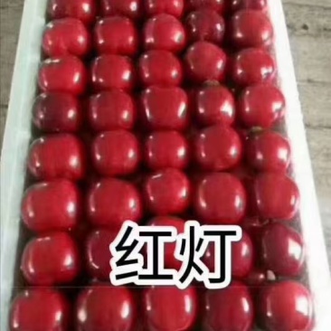 红灯樱桃大量上市品种规格齐全承接电商市场商超供应链