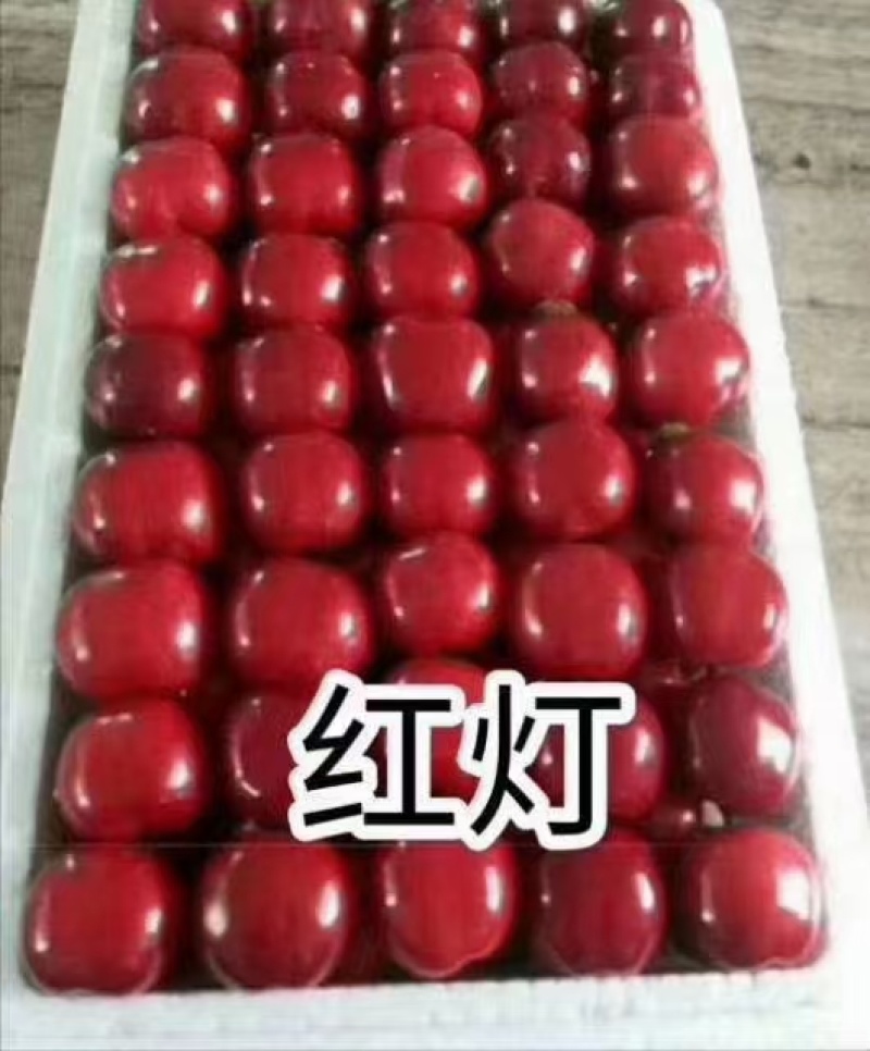红灯樱桃大量上市品种规格齐全承接电商市场商超供应链