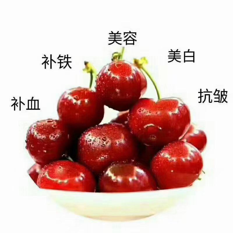 红灯樱桃大量上市品种规格齐全承接电商市场商超供应链