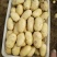 山东土豆大量上市了货源充足保质保量全国发货
