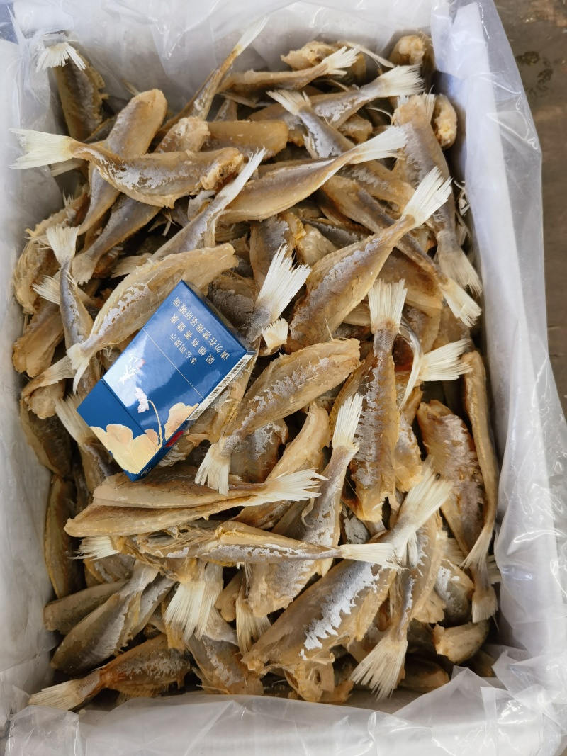 新鲜自晒剥皮鱼正宗咸鱼干目肉鱼干扒皮鱼咸鱼茄子煲麦香鱼