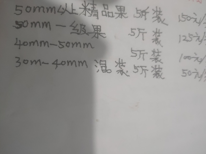 蜂糖李子专营店