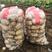 汉中沃土土豆，3量起步按需包装，实力供货，全国发货。