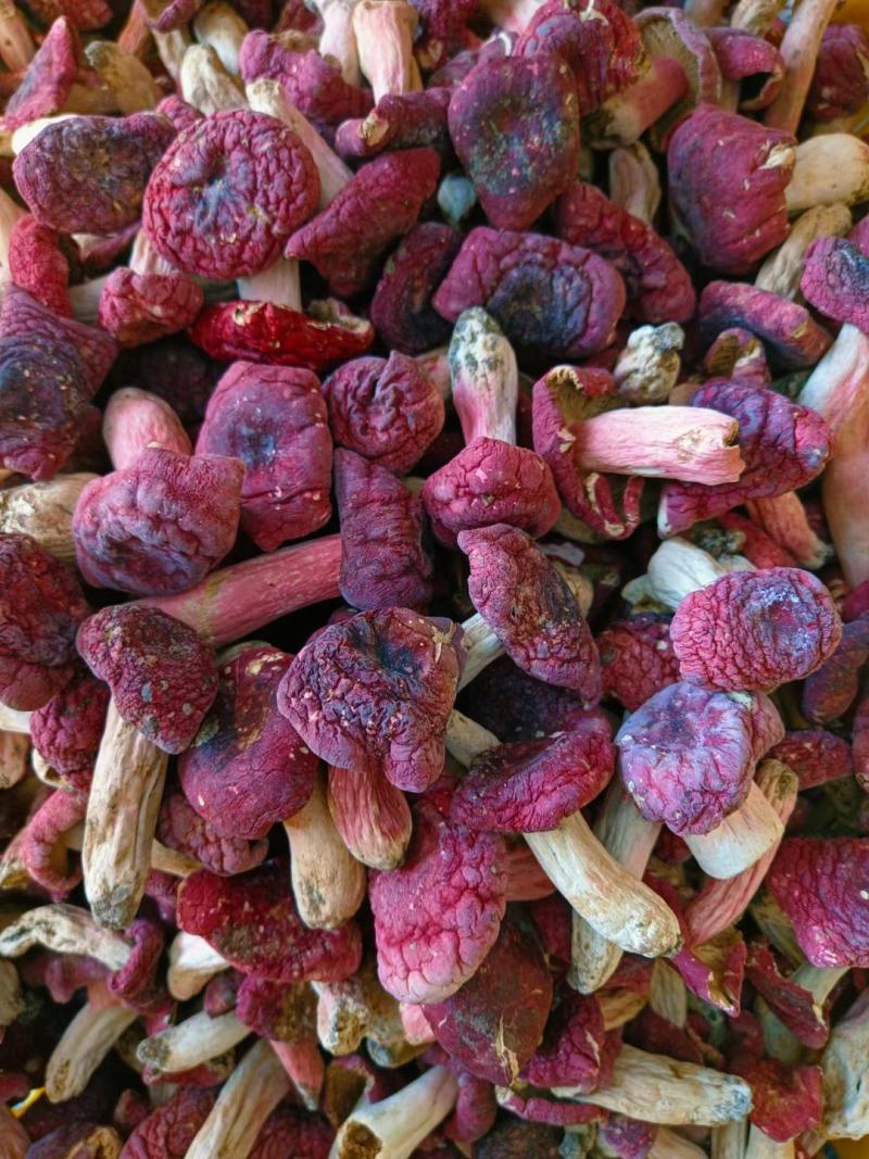 野生红菇，干品精选，产地直发，量大价优！