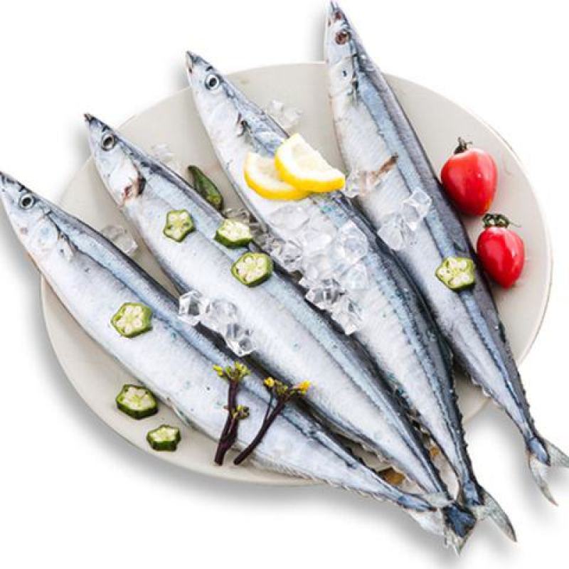 新鲜秋刀鱼鲜活冷冻海捕海鱼海鲜水产日式烧烤食材