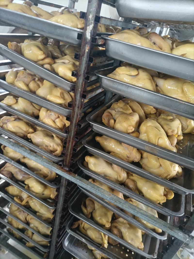 麻椒鸡，椒麻鸡500克每只。