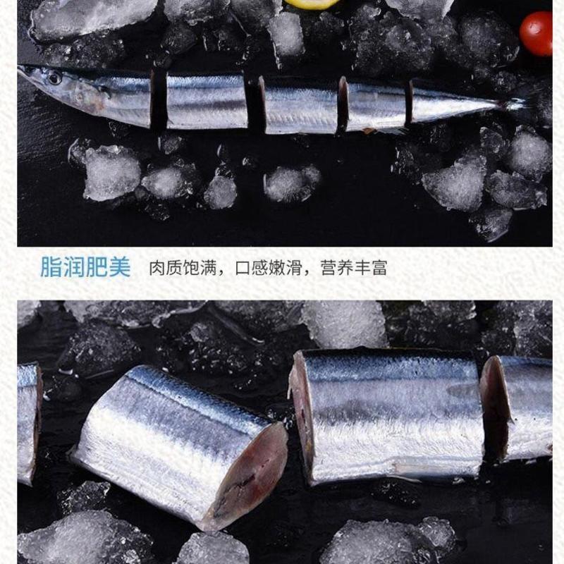 新鲜秋刀鱼鲜活冷冻海捕海鱼海鲜水产日式烧烤食材