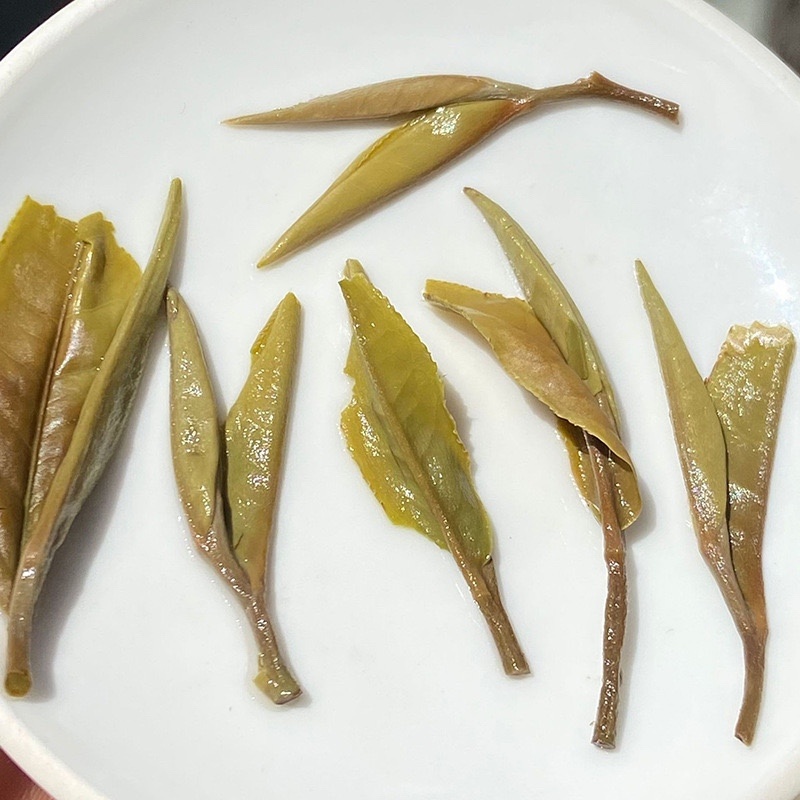 2024年福鼎的白茶白牡丹明前日晒白茶散装批茶叶白牡丹