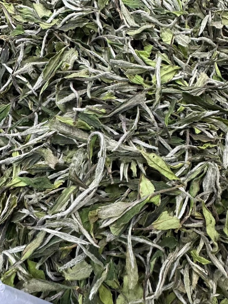 2024年福鼎的白茶白牡丹明前日晒白茶散装批茶叶白牡丹