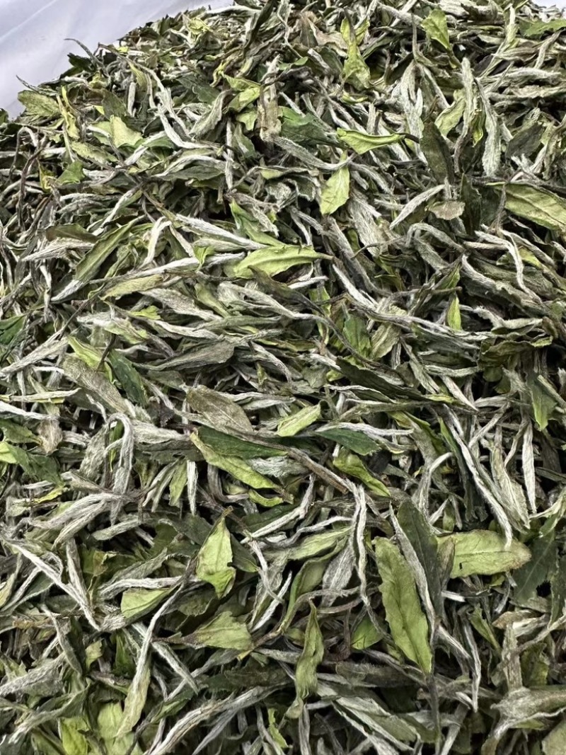 2024年福鼎的白茶白牡丹明前日晒白茶散装批茶叶白牡丹