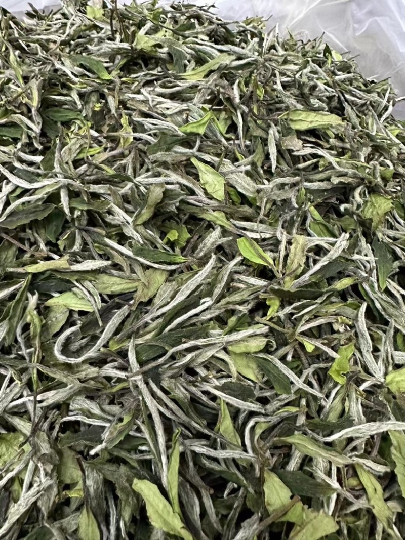 2024年福鼎的白茶白牡丹明前日晒白茶散装批茶叶白牡丹